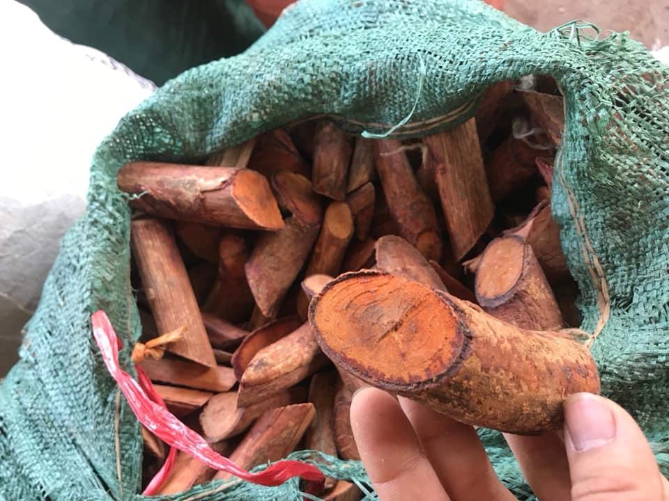 [HCM]Cây Mú Từn - Tăng cường sinh lý ( Loại VIP 1kg)