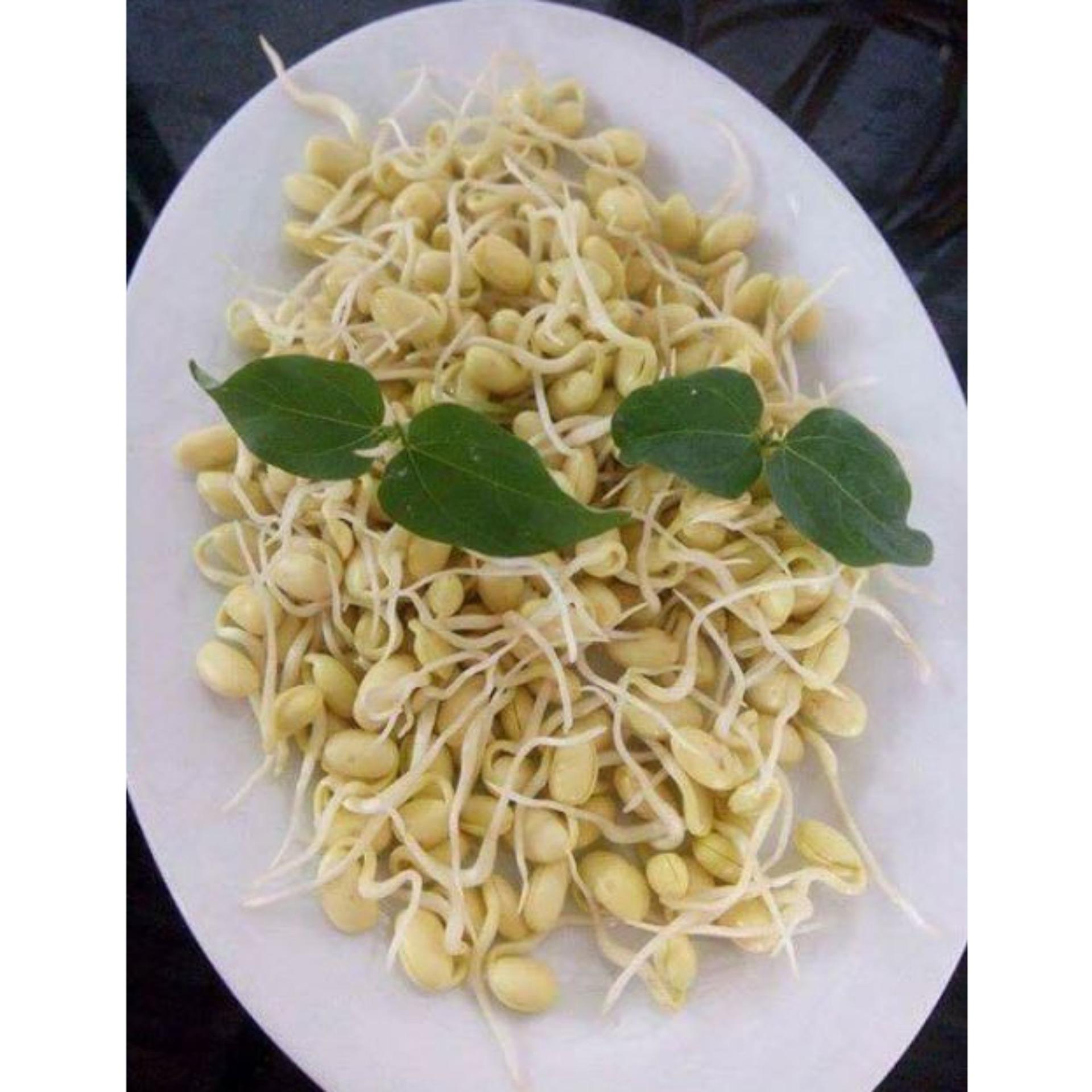 [HCM]500gr bột mầm đậu nành