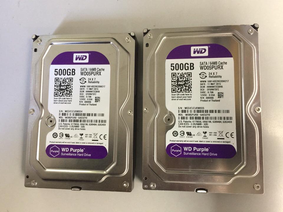 Ổ cứng HDD 500GB Western Tím | Bảo Hành 24 Tháng