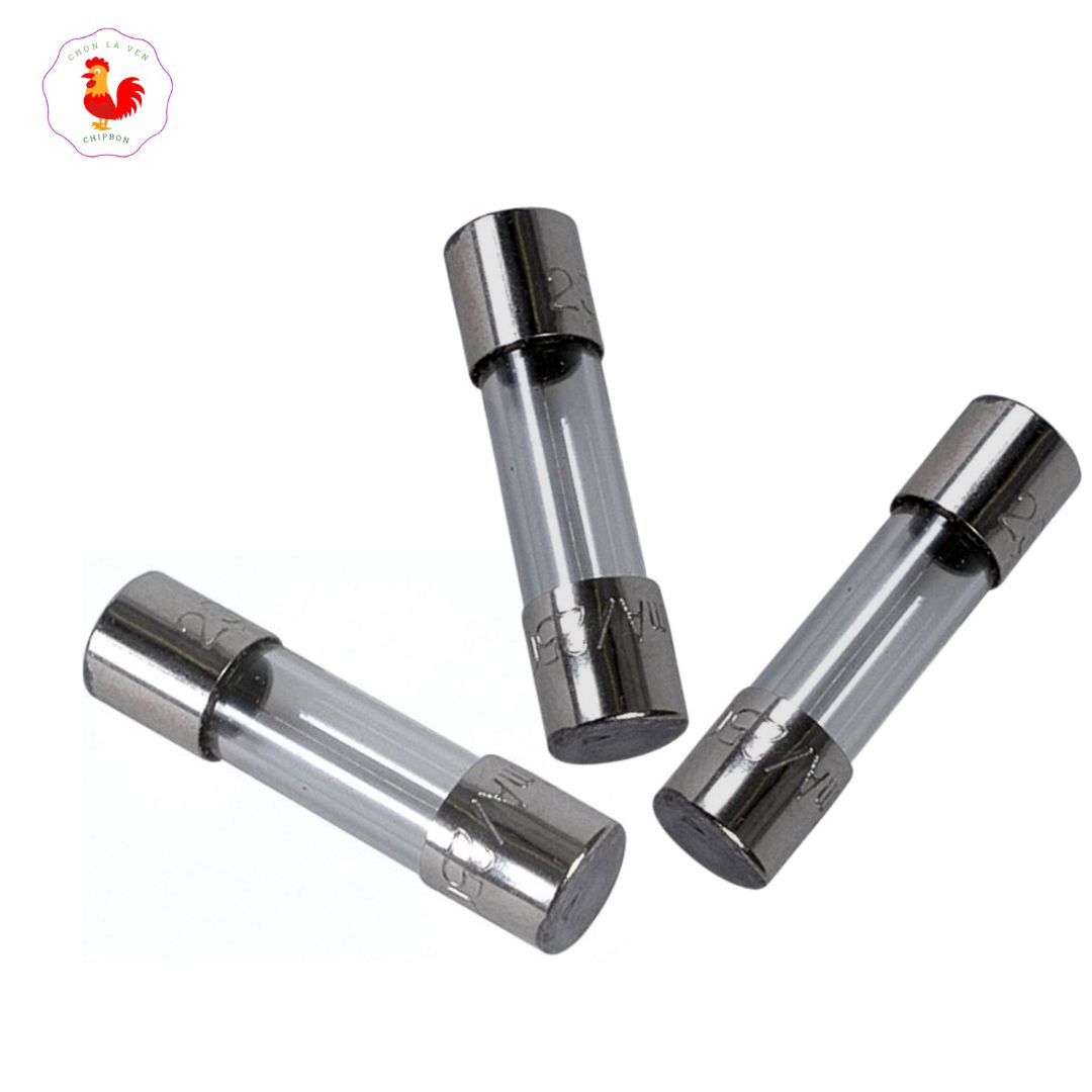 6x30 250V fuse