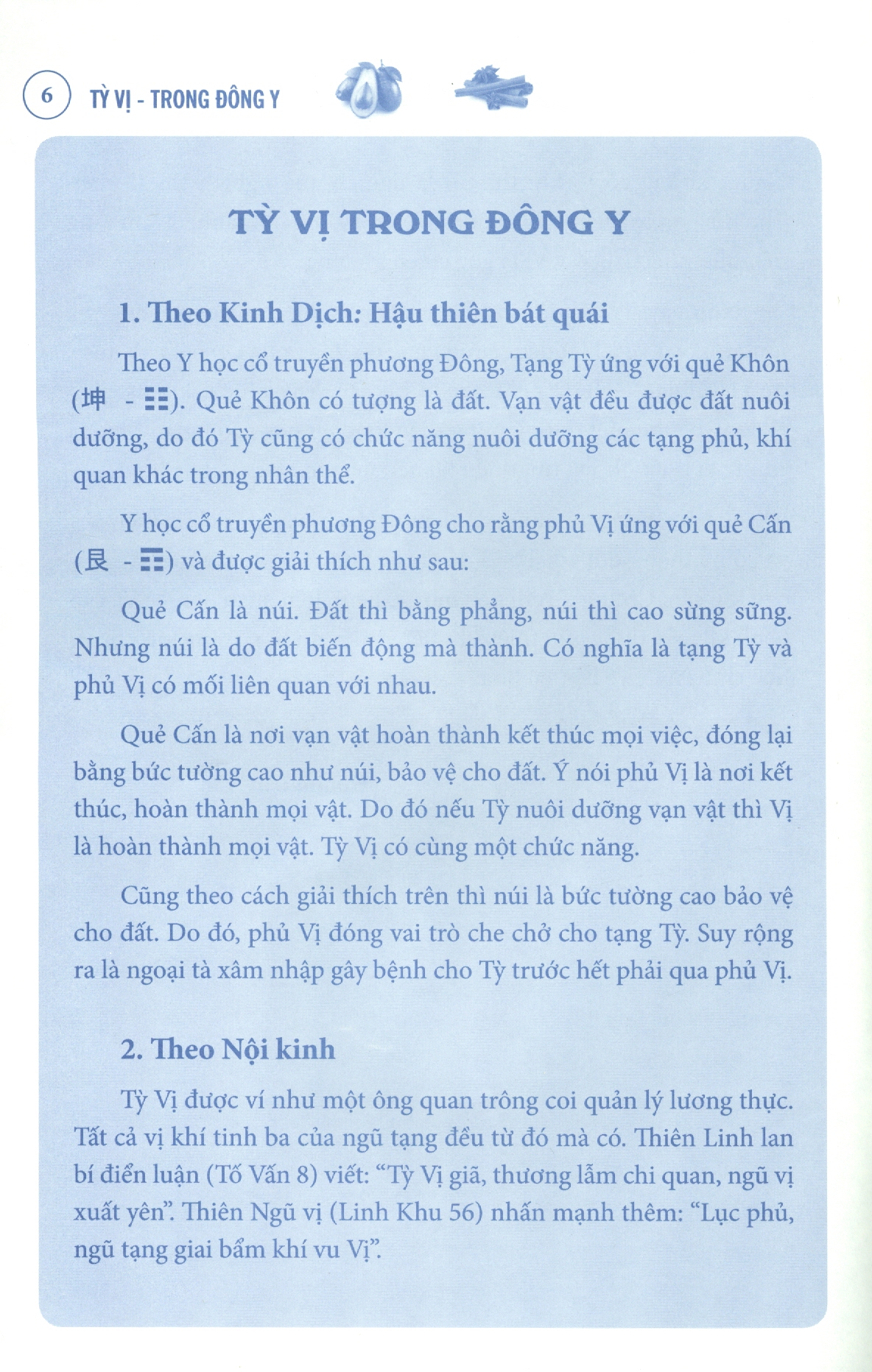 Tỳ Vị Trong Đông Y