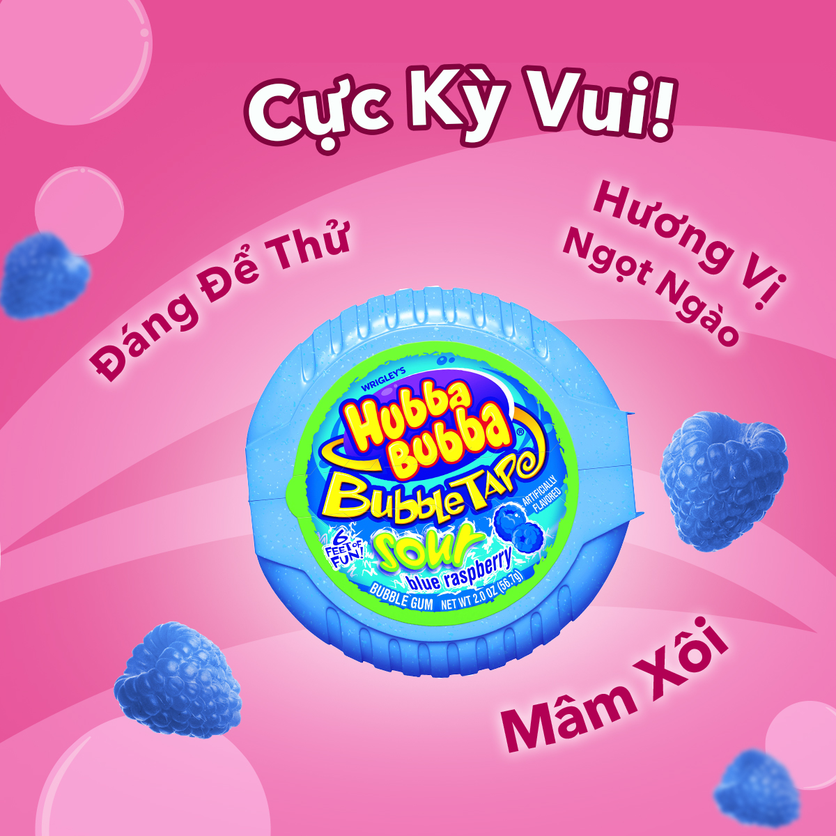 Combo 2 hộp kẹo Sing-gum Hubba Bubba vị mâm xôi