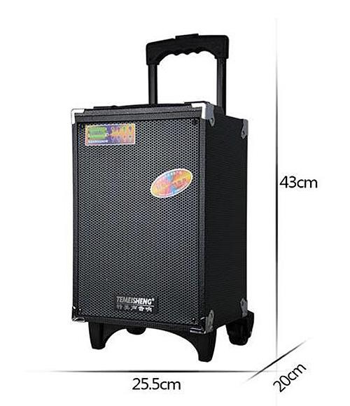 [HCM]Loa Kéo Di Động Temeisheng A8-2T