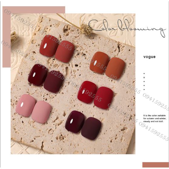 Set sơn gel AS mousse coffee 6 màu MK