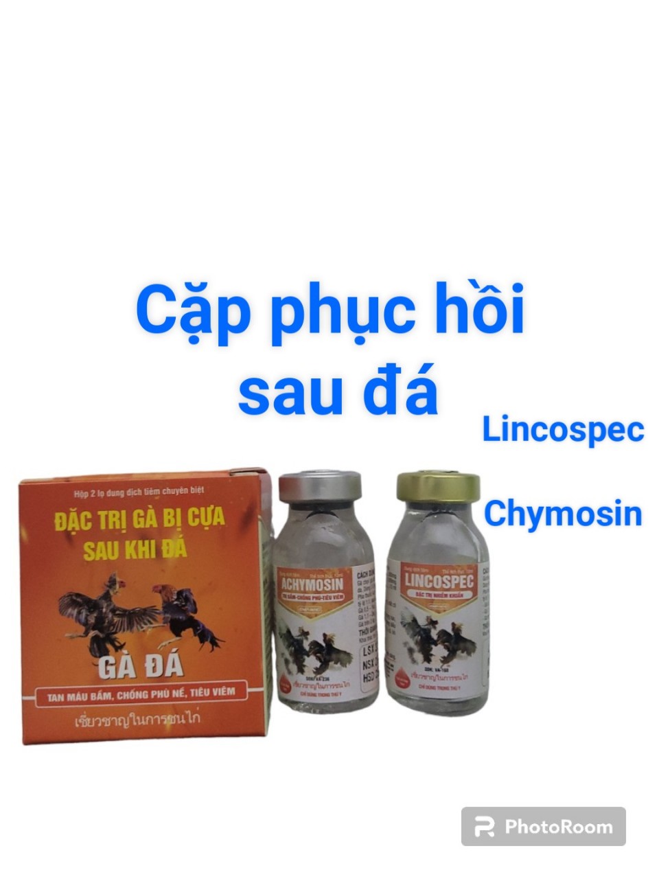 Cặp gà bị cựa sau đá ( phục hồi sau đá)