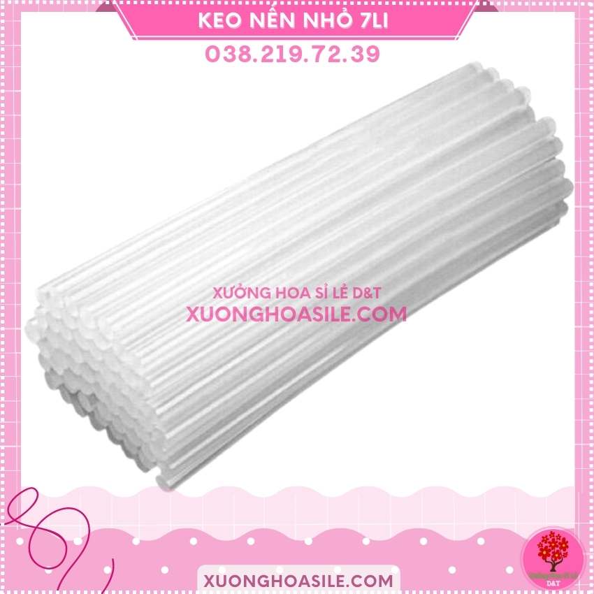 [HCM]10 cây keo nến nhỏ 28cm