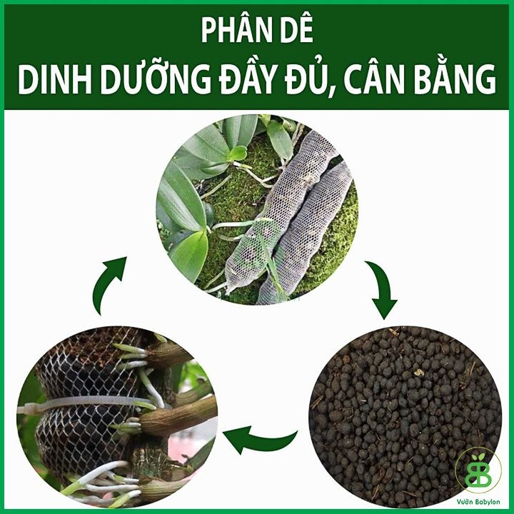 Phân Dê Túi Lưới Cho Lan Đã Xử Lý  20cm
