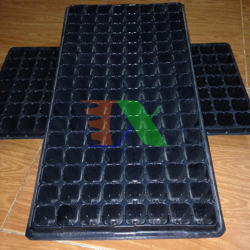 Bộ 5 khay ươm cây, khay ươm hạt, vỉ ươm (128 lỗ)(Đen)