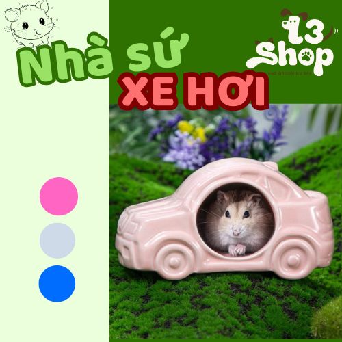 Nhà sứ xe hơi độc lạ dành cho hamster - T3 PETS SHOP