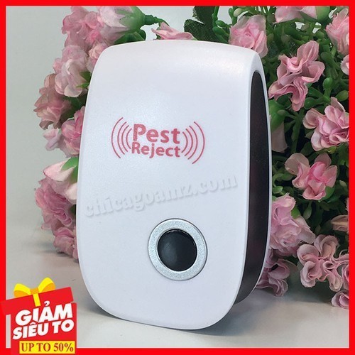Máy đuổi côn trùng ruồi muối