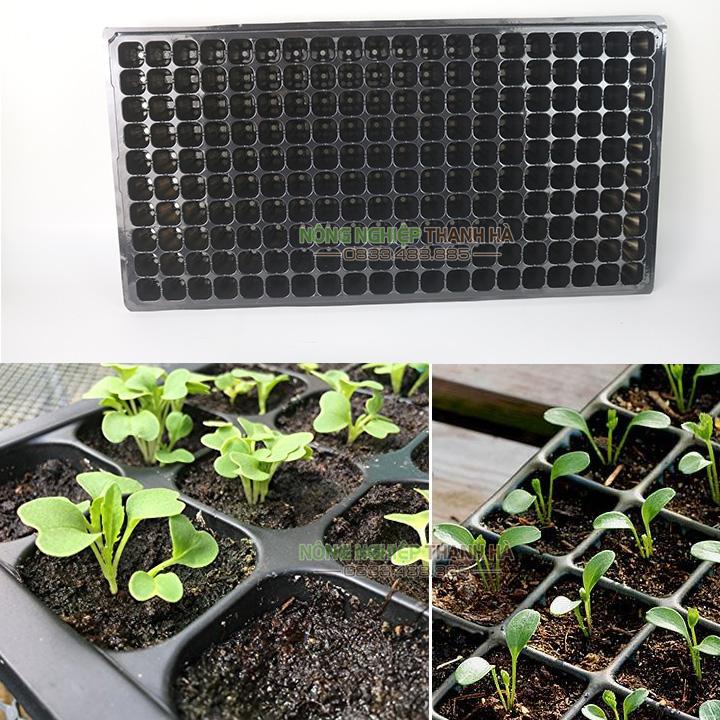 5 Khay ươm hạt giống 200 lỗ