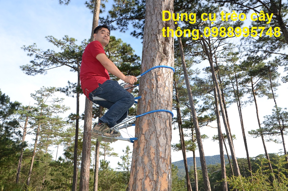 DỤNG CỤ LEO CÂY THÔNG, LEO CAU VUA