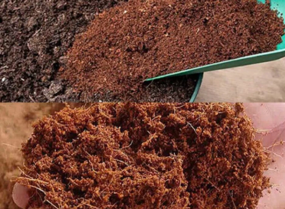 XƠ DỪA ĐÃ QUA XỬ LÝ ( GÓI 1 kg)