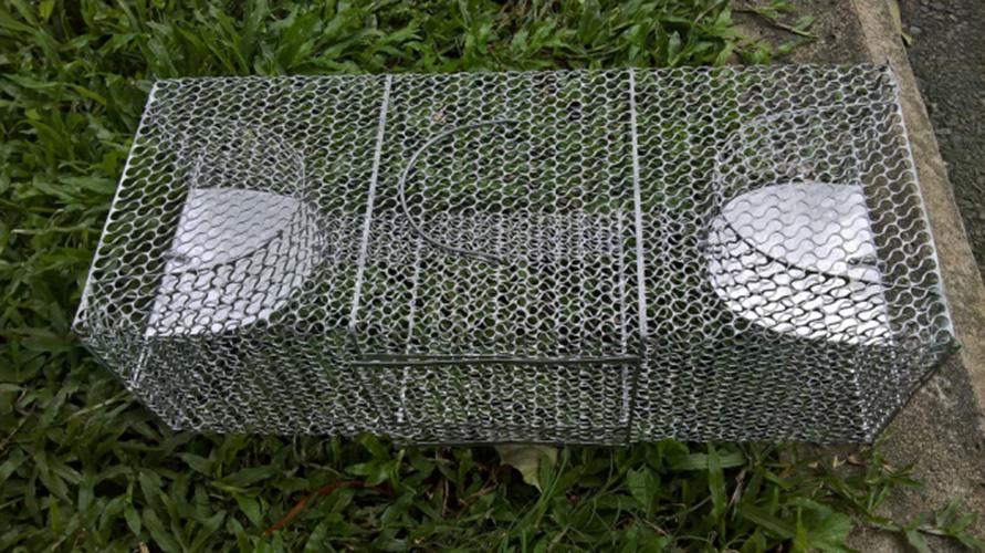 Bẫy Chuột Tự Động 2 Cửa Bằng Thép Siêu Bền Thiết Kế Thông Minh, Bẫy Được Nhiều Con Trong 1 Lần Bẫy, Sử Dụng Lâu Dài