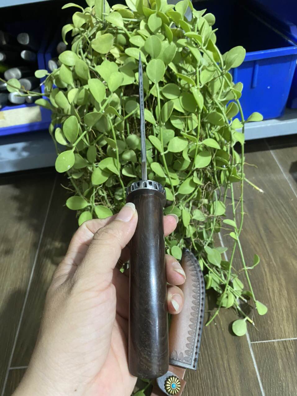Dao gọt hoa quả 24,5cm, tặng kèm bao đựng