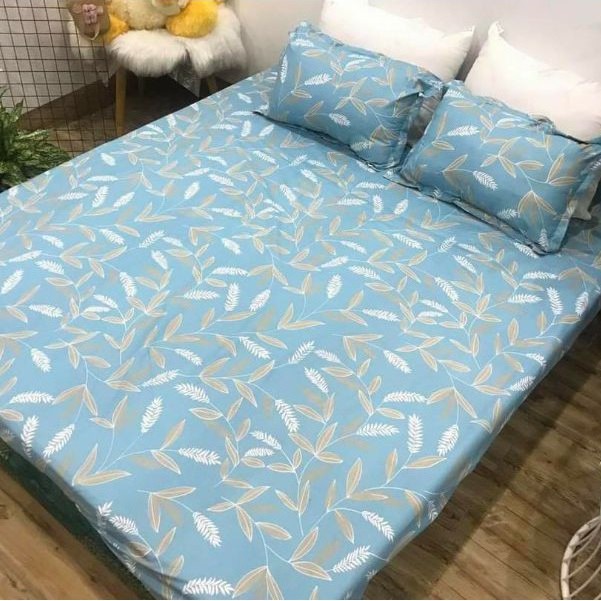 Xả kho bộ ga gối cotton poly m6 .m8 .2m2