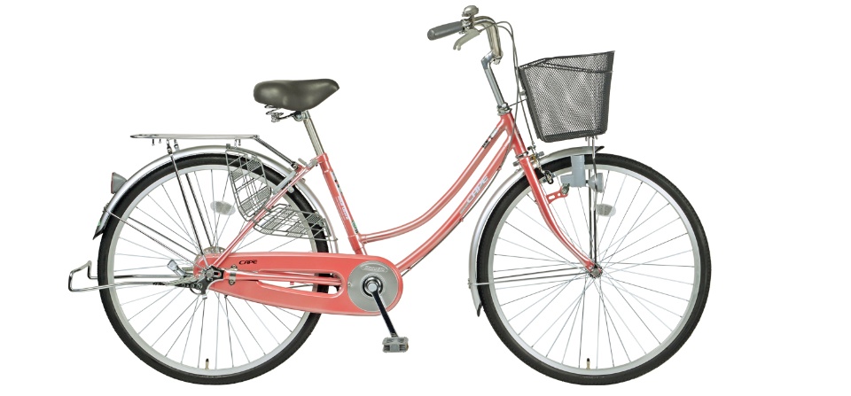 Xe đạp Nhật Bản Maruishi CAT2611