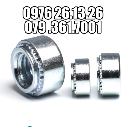 TÁN ÉP , ECU ÉP , TÁN TỰ GIỮ , ỐC VÍT PEM - BỊCH 100 CON