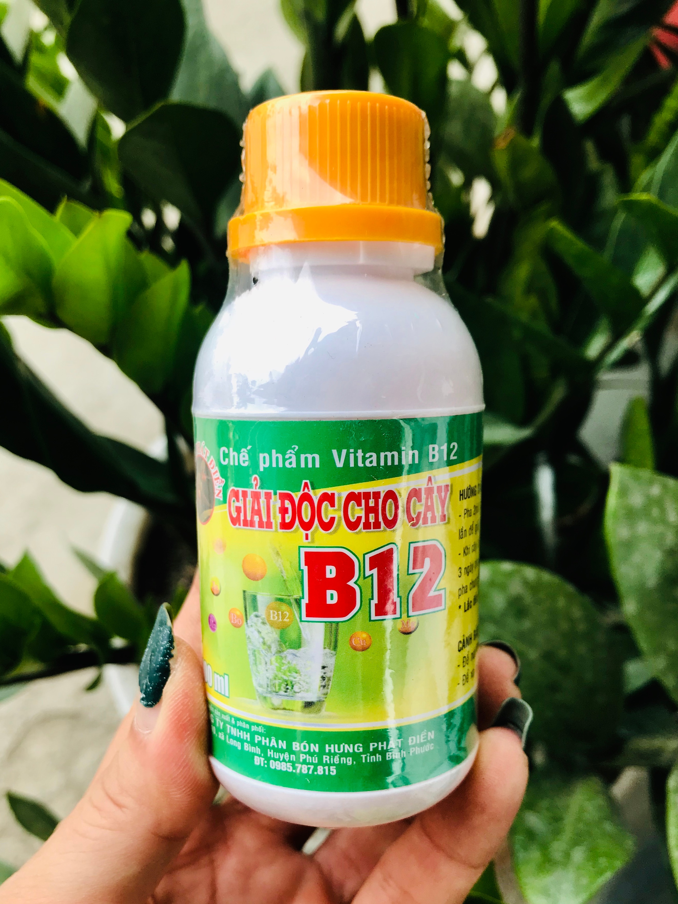 Vitamin B12 Preparation - Detoxifies Plants (100ml)