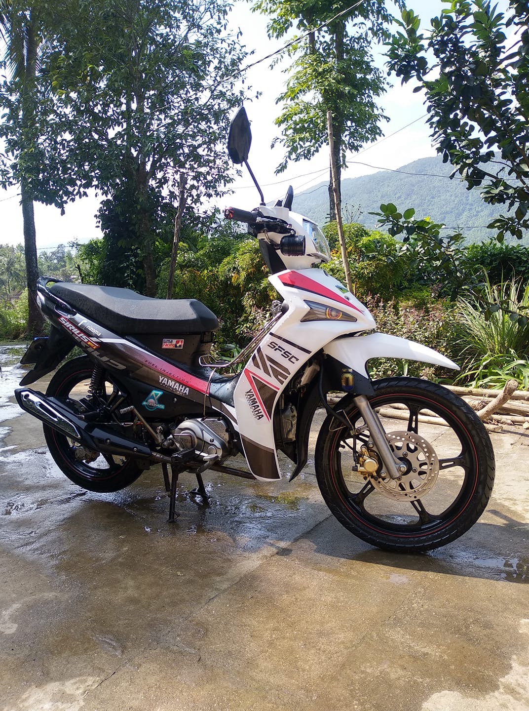 Tem sirius fi đỏ đen