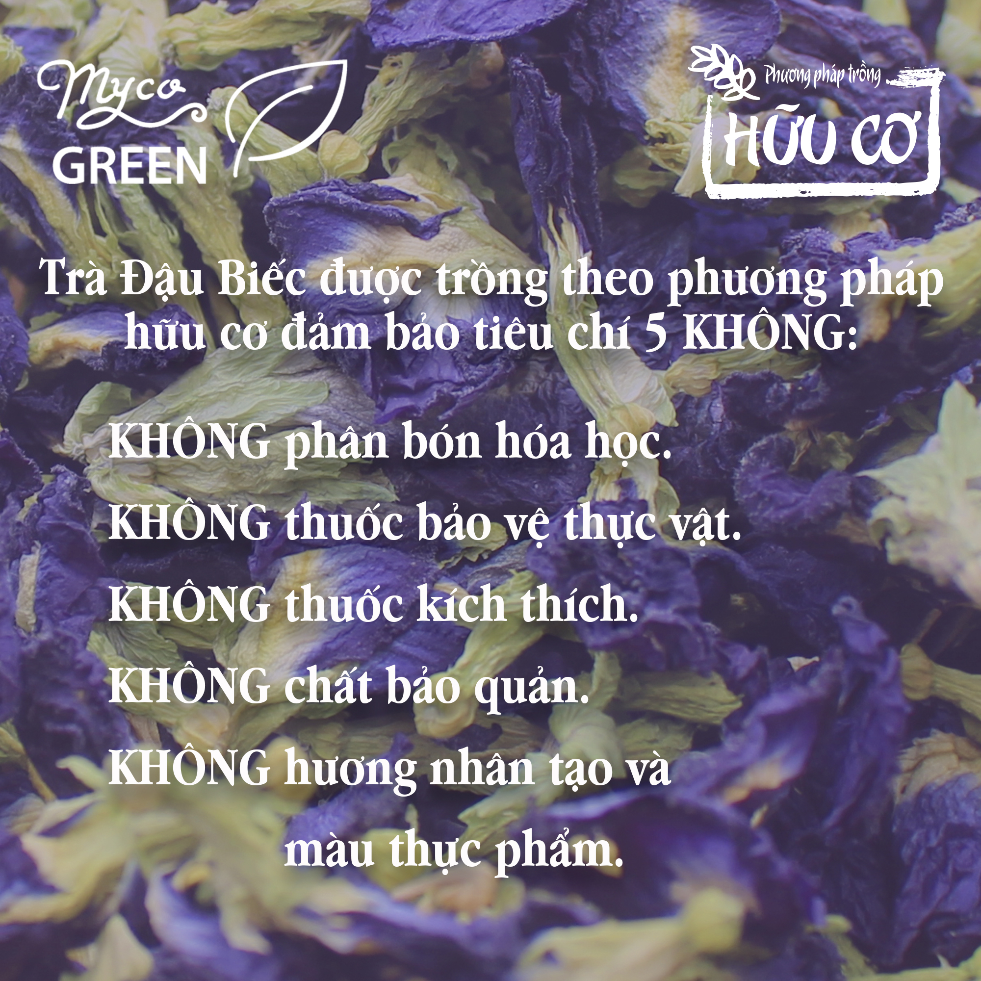 MycoGREEN, Trà Thảo Mộc Hoa Đậu biếc, PP trồng Hữu Cơ (10g)