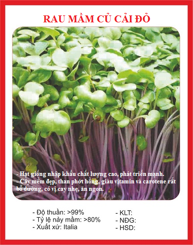 Hạt Giống Rau Mầm Củ Cải Đỏ - Gói 20gram