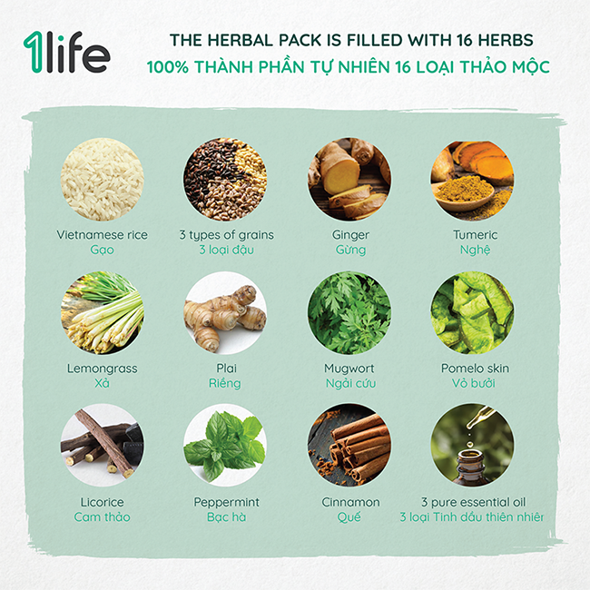 GỐI THẢO MỘC CƠ BẢN 1LIFE HERBAL PACK