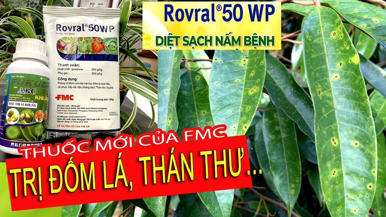 trừ bệnh Rovral 50WP 25gr Đốm Lá - Thán Thư