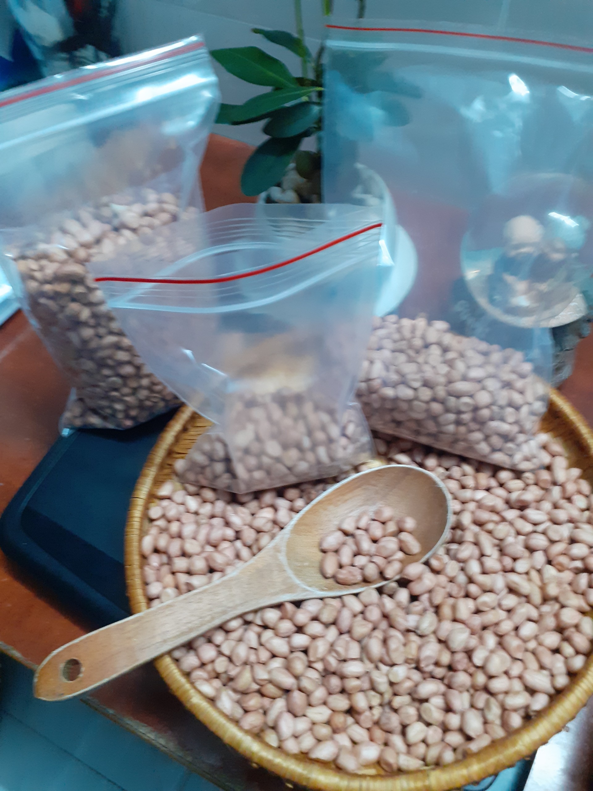 đậu phộng quê hương (hạt lạc sống)