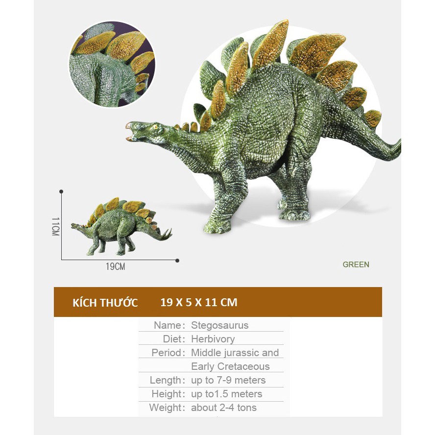 1005 🦕Mô hình khủng long sừng tấm Stegosaurus 🦕