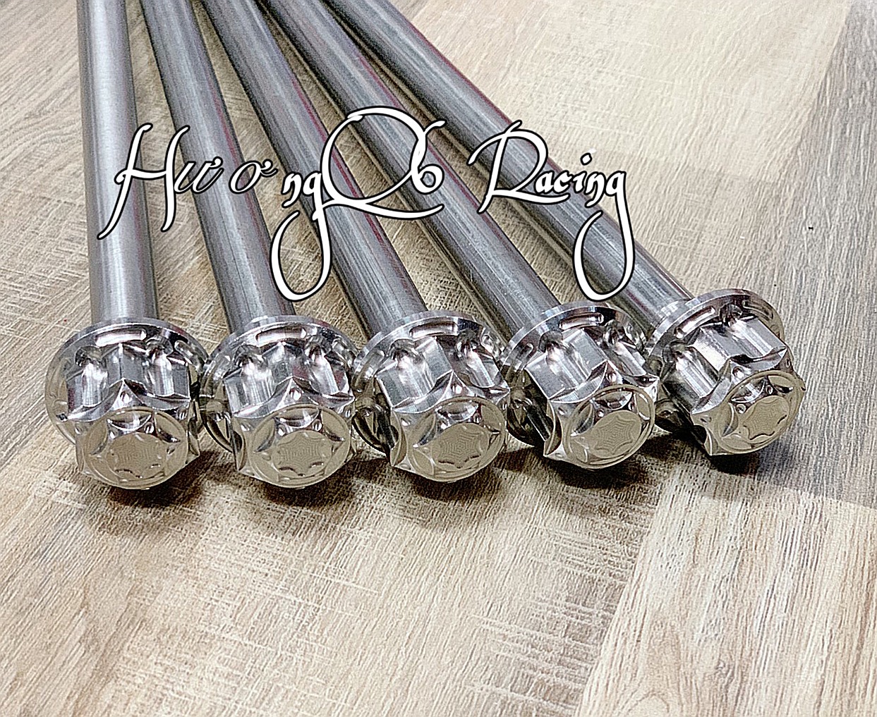 Cốt Bánh Sau Ex150 + 2 Tán Chụp Cốt Salaya