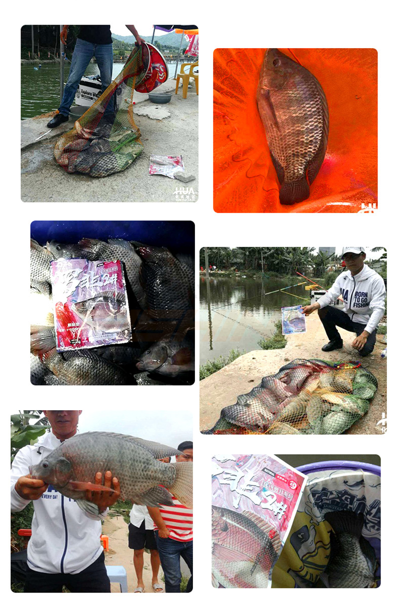 Mồi Hua chuyên câu Rô Phi số 1 và 2