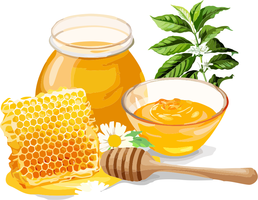 Mật ong chuẩn Dalak 1L
