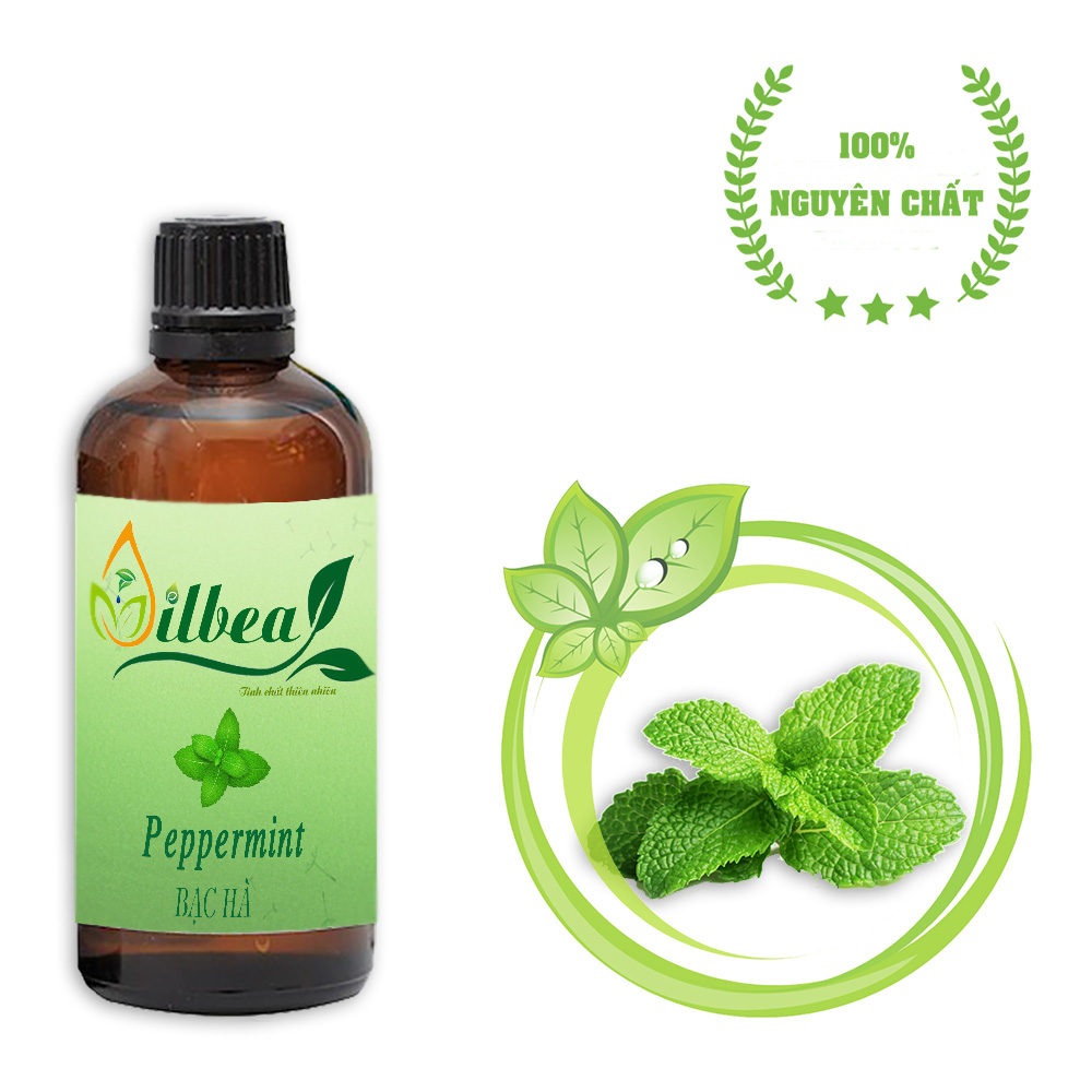 Tinh dầu bạc hà 10ml 50ml 100ml