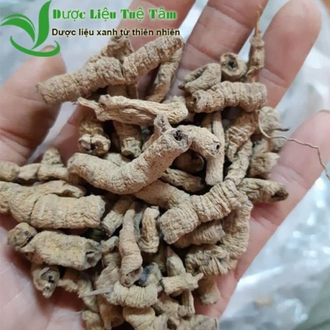 Sỉ toàn quốc 500g ba kích tím khô