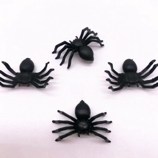 Bộ 5 con nhện mini màu đen nhện giả nhện đồ chơi