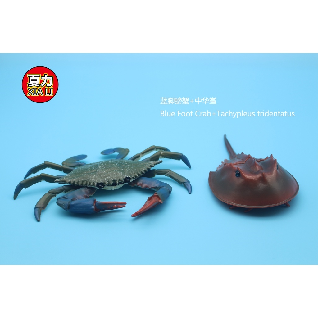☍ Mô hình động vật biển đồ chơi cho bé