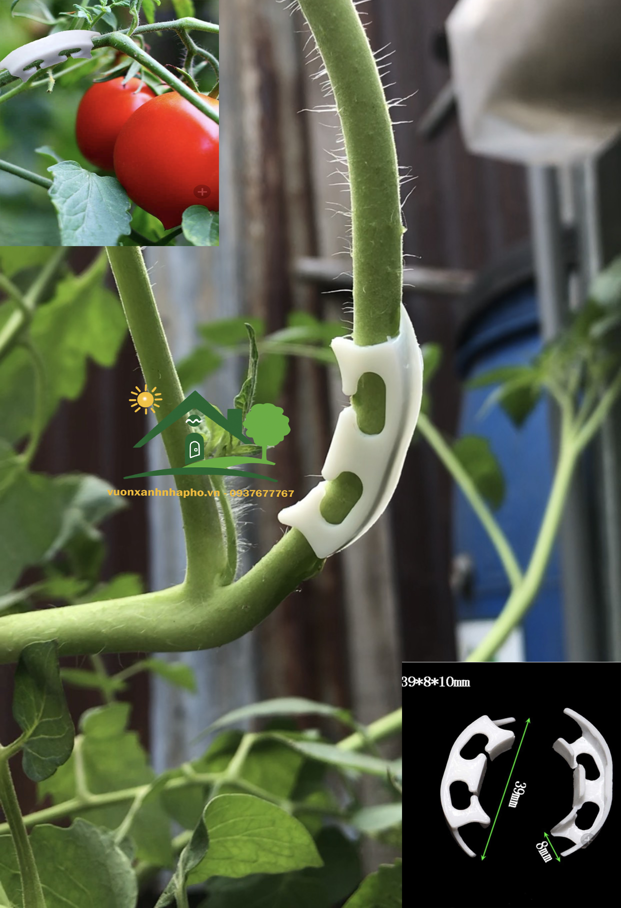 Sét 50-100 Dụng cụ kẹp cố định chống uốn gia cố nâng bợ đỡ cành cà chua rau củ quả