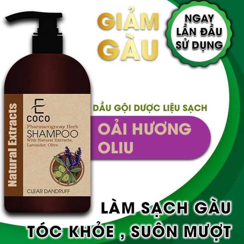 Dầu gội dược liệu sạch trị gàu Ecoco với chiết xuất tự nhiên, oải hương, ô liu