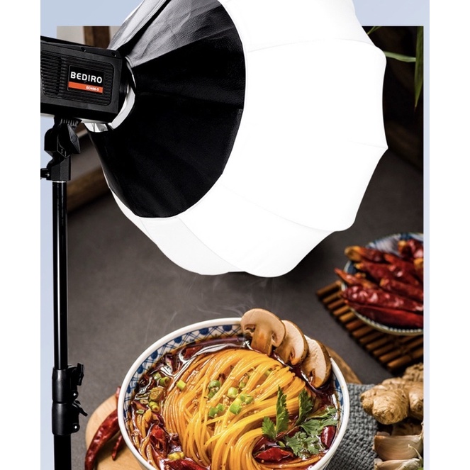 Bộ Đèn Studio Ngàm Bowen Bediro Bd-400ss