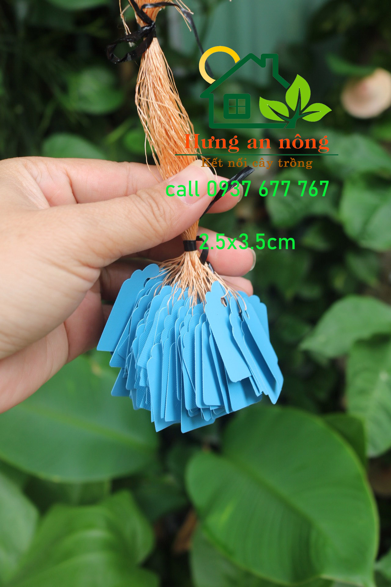 Set 100 thẻ treo màu bằng nhựa đánh dấu cây trồng name tag 2.5x3.5cm