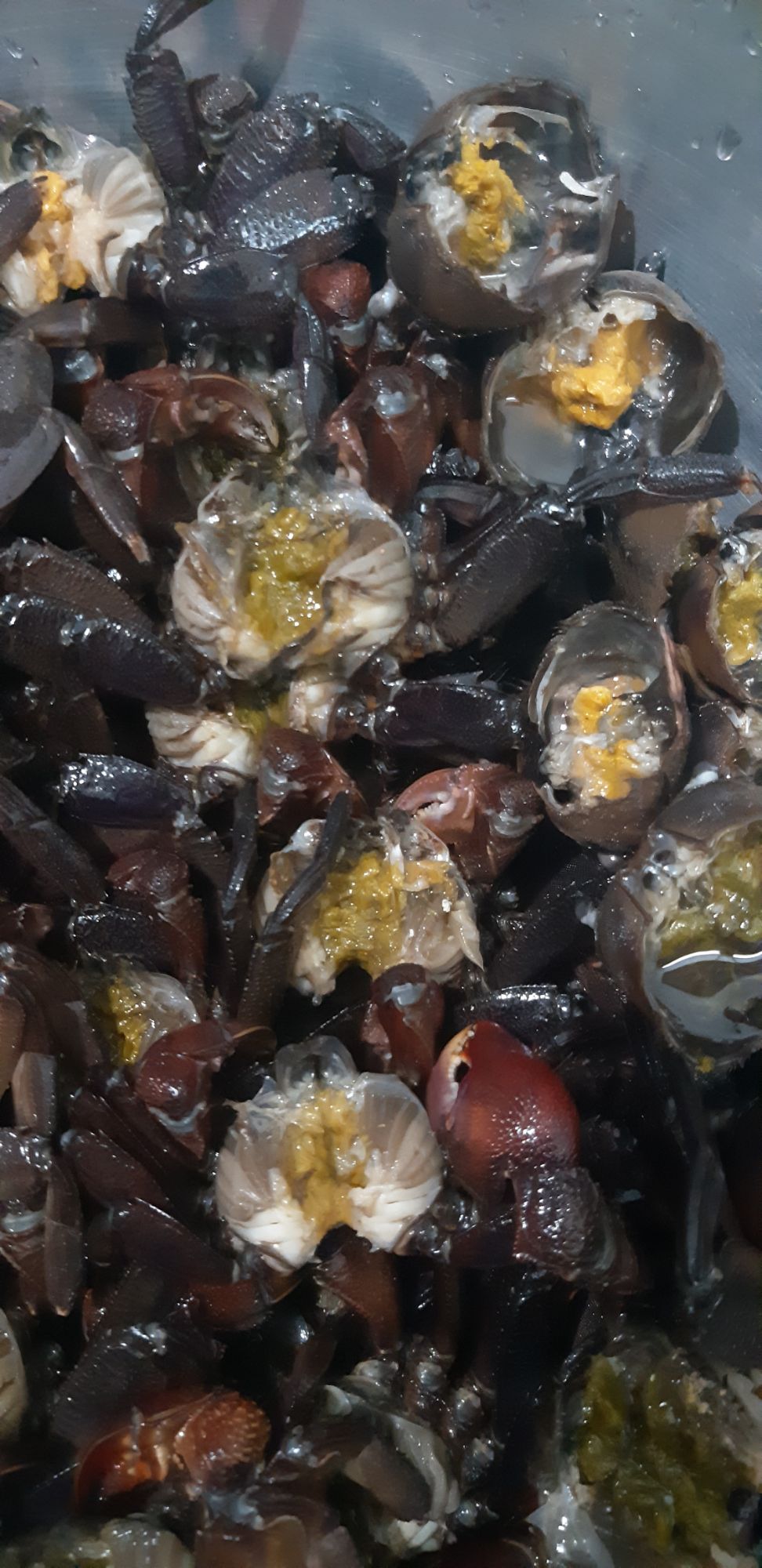 1kg Ba khía Trộn tắc đường
