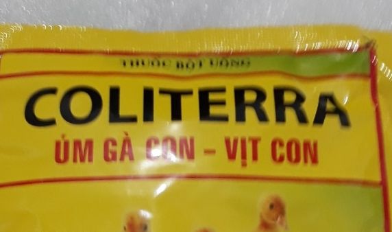 COLITERA CHUYÊN DÙNG ÚM GÀ VỊT, CÚT CON 100g