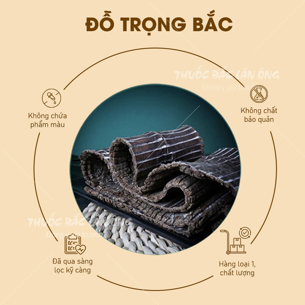 Đỗ trọng bắc 100g, miếng to, dập sợi đẹp, khô, thơm - Lãn Ông