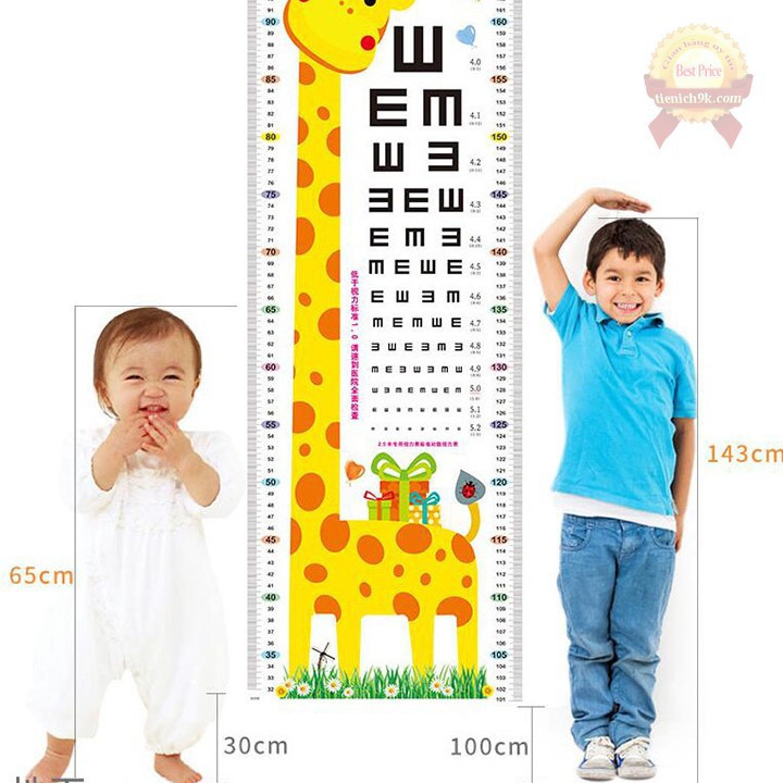 Decal dán tường đo chiều cao và đo thị lực cho bé ankids