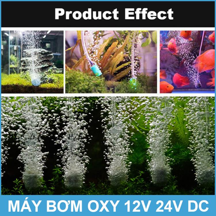 [HCM]Máy Bơm Oxy Hồ Cá 12V 100W 100L MPQ-905