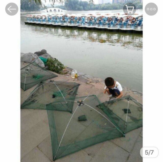 Vó bắt tôm, cá, tép