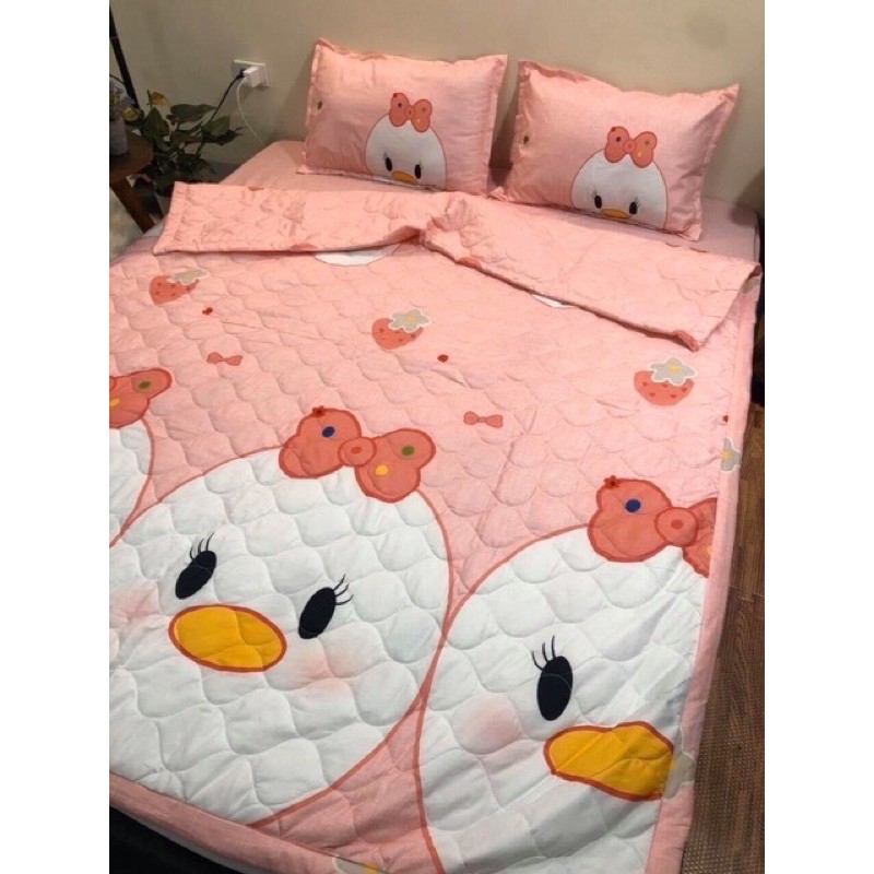 Set Ga + 2 Vỏ Gối Poly Cotton M6/M8