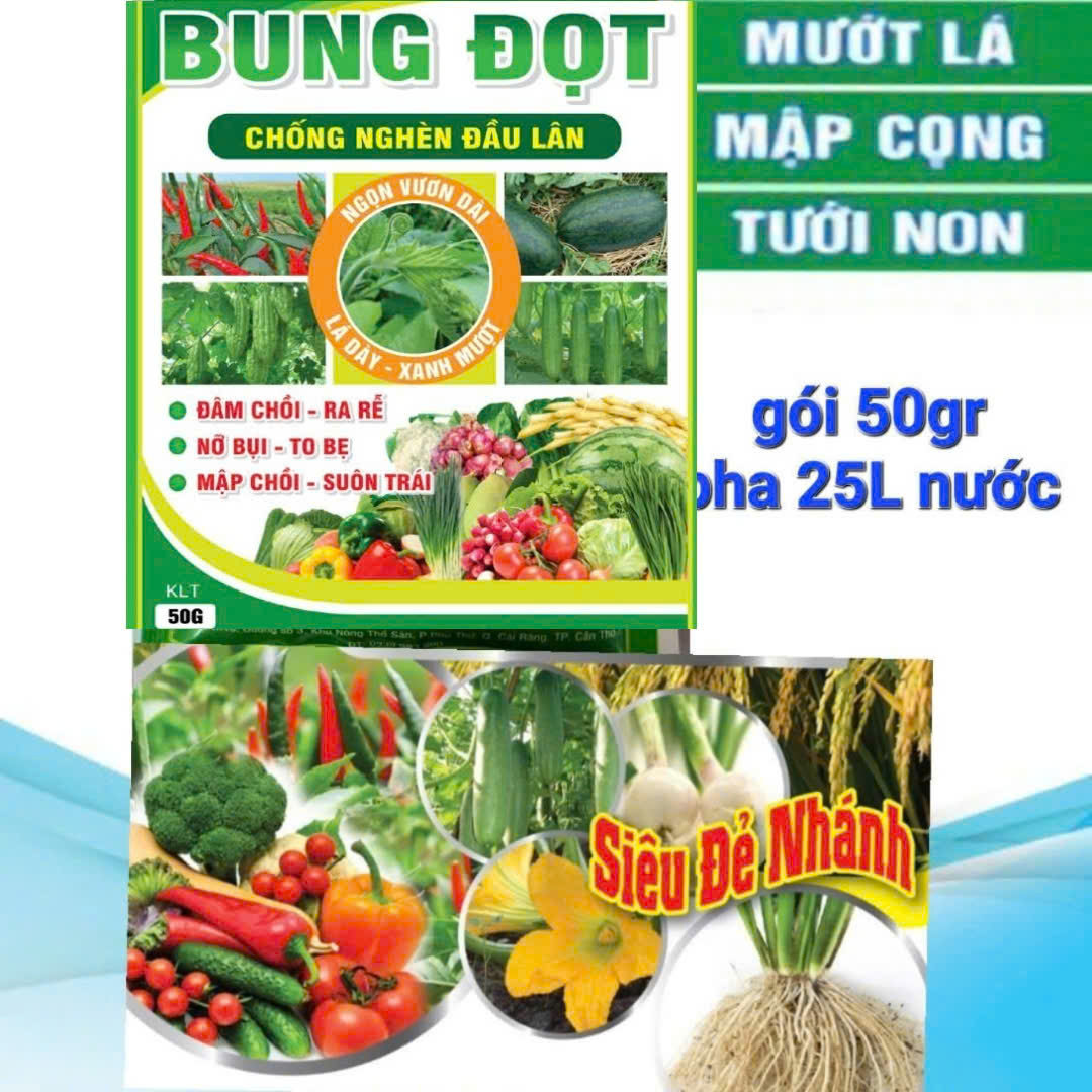 (50gam) Phân bón lá 33-11-11: siêu bung đọt, kích mập đọt, đâm chồi mạnh, bung chồi