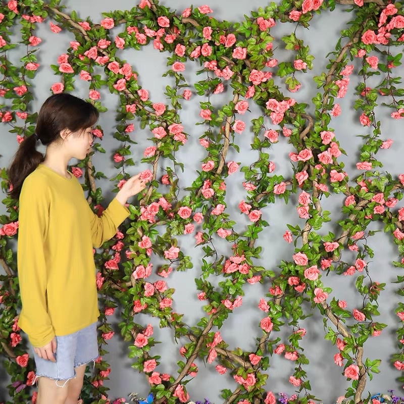 Dây hoa hồng dây hồng leo trang trí tông khô